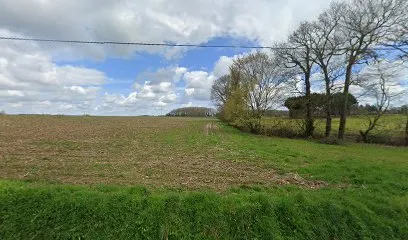 Image de Emeraude Isolation