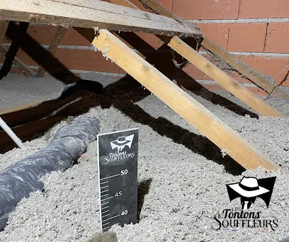 Image de Les Tontons Souffleurs