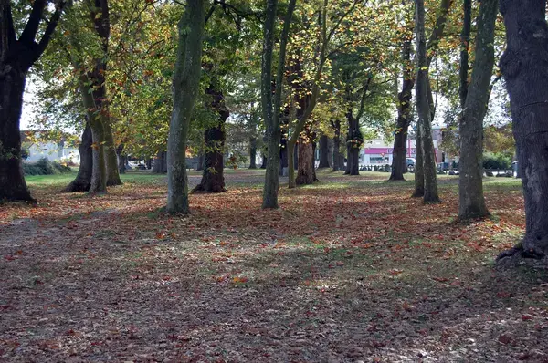 Coût Isolation Extérieure Coût isolation extérieure Idron