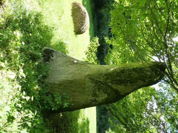 Coût Isolation Extérieure Coût isolation extérieure Plouvara